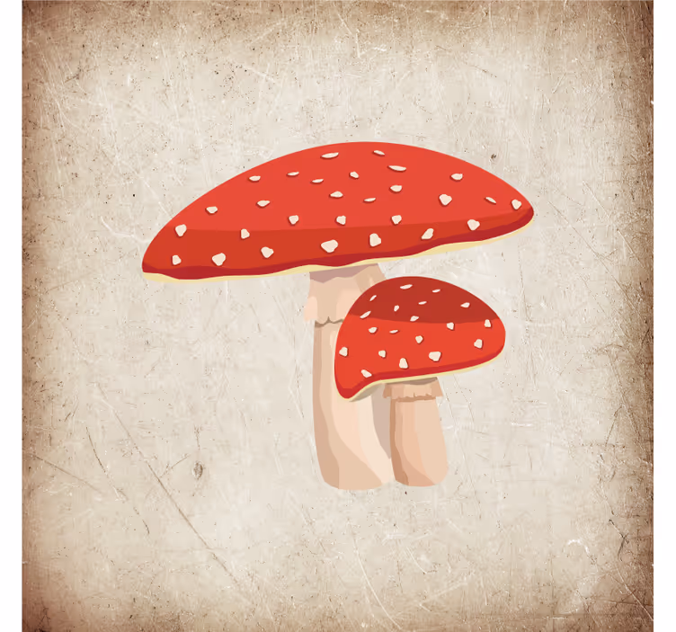 Roleta kuchyně s ilustrací muchomůrky - TenStickers