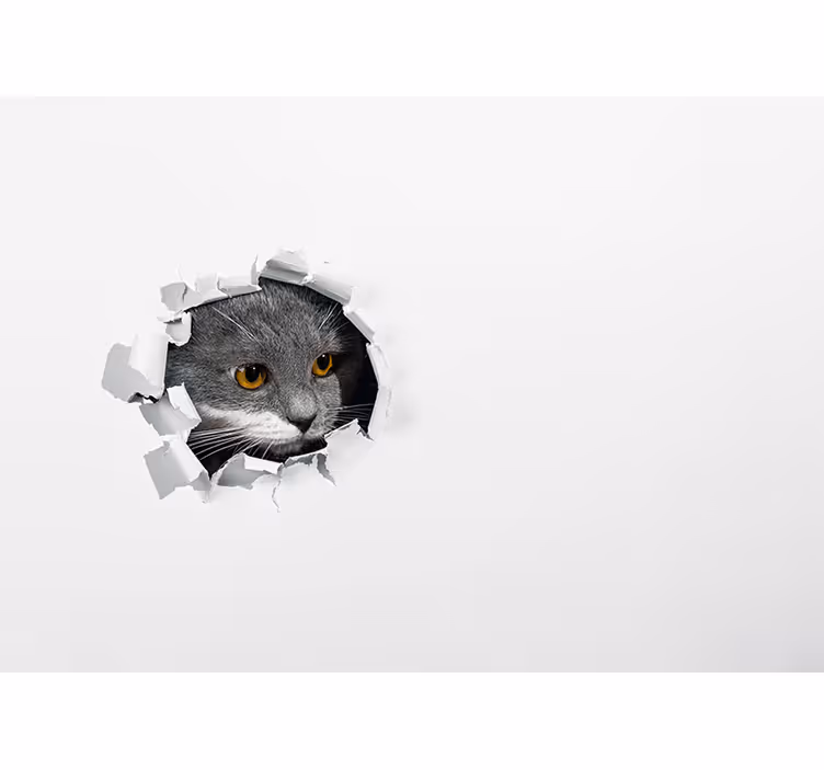 Bílá roleta roztomilá kočka - TenStickers