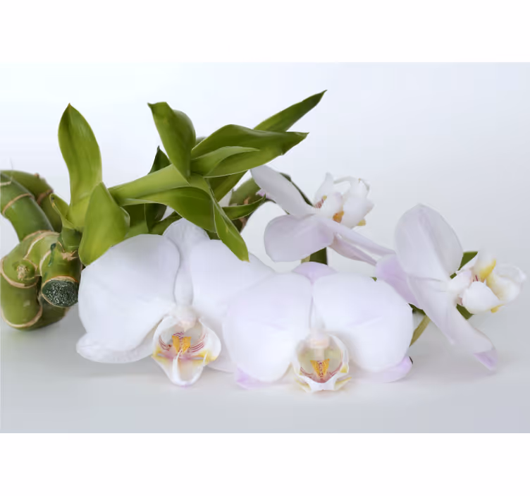 Bílá roleta zelená orchidej - TenStickers