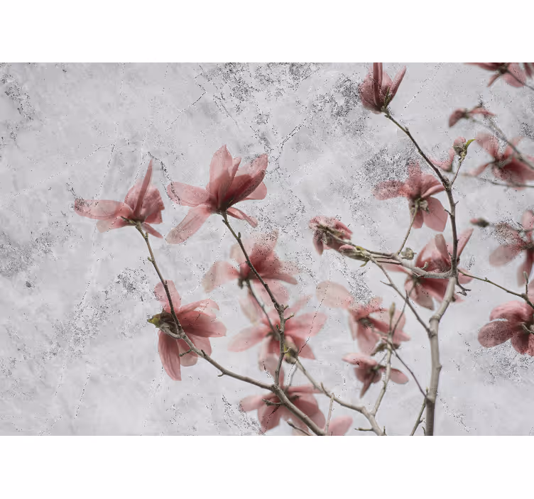 Roleta do obývacího pokoje v elegantním magnolovém stylu - TenStickers