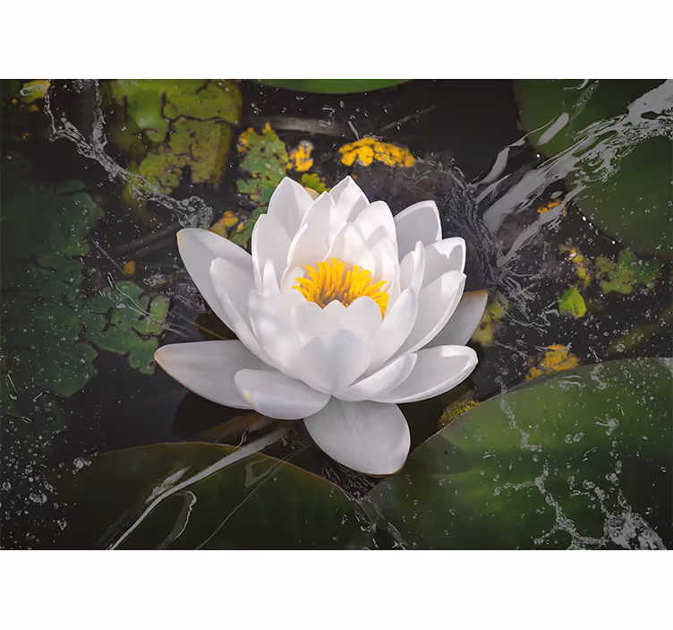 Roleta do obývacího pokoje bílý a žlutý lotus - TenStickers