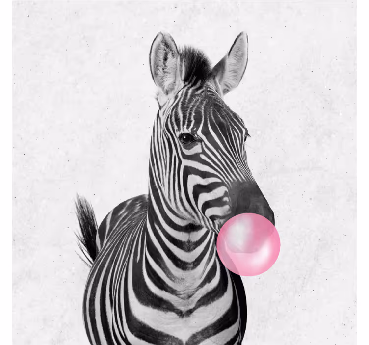 Roleta do obývacího pokoje zebra bublinková guma - TenStickers