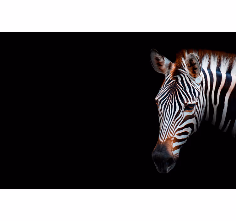Roleta do obývacího pokoje zebra motiv - TenStickers