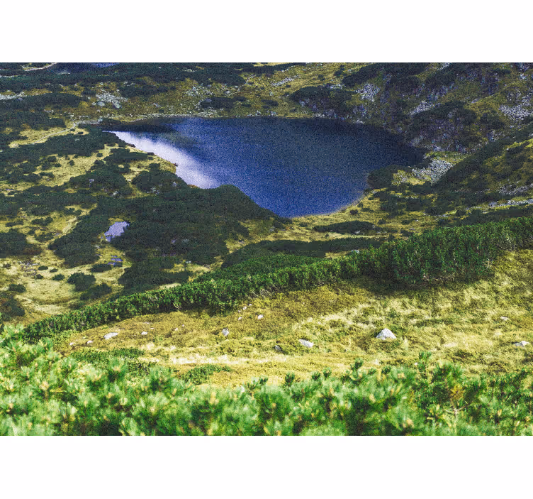 Roleta do obývacího pokoje zelené polské tatry - TenStickers