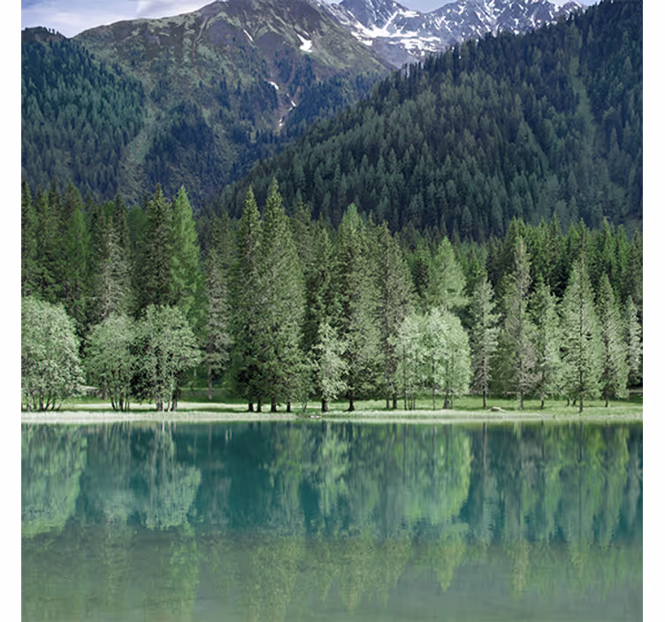 Roleta do obývacího pokoje zelené jezero přírody - TenStickers