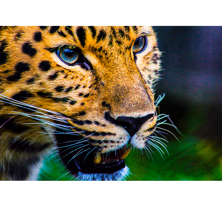 Roleta ložnice s leopardím vzorem - TenStickers