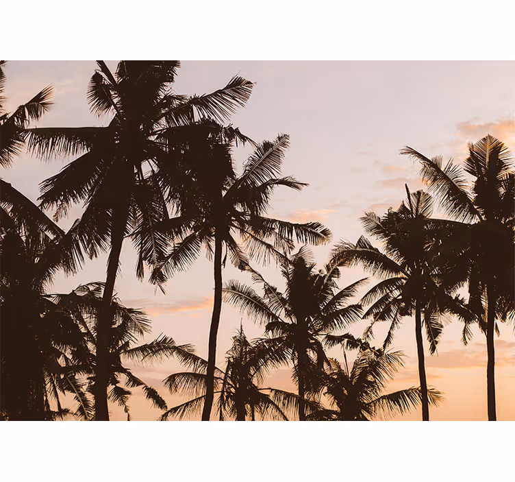 Roleta ložnice palm tree při západu slunce - TenStickers