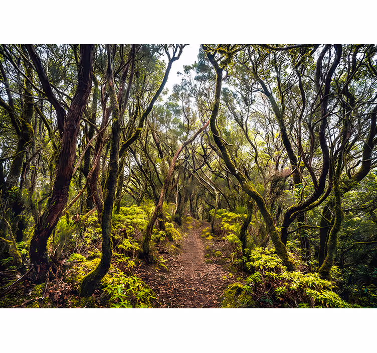 Roleta do obývacího pokoje anaga tenerife - TenStickers