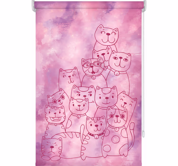 Roleta pro teenagery galaxie mňouka - TenStickers