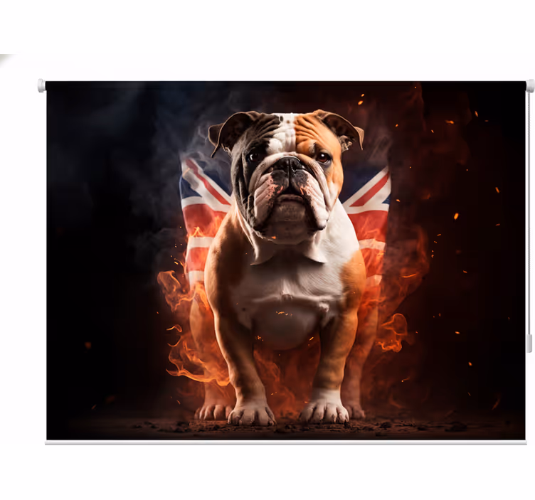 Roleta pro teenagery s britským buldokem v plamenech - TenStickers