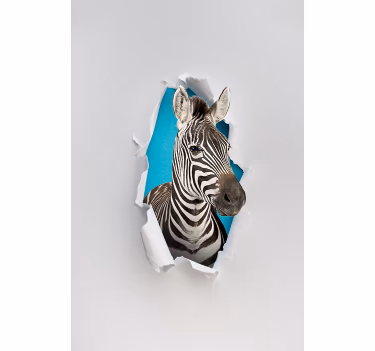 Zebra různé zvířeroleta - TenStickers