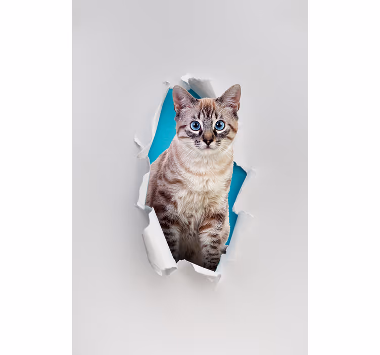 Kočka různá zvířecí roleta - TenStickers