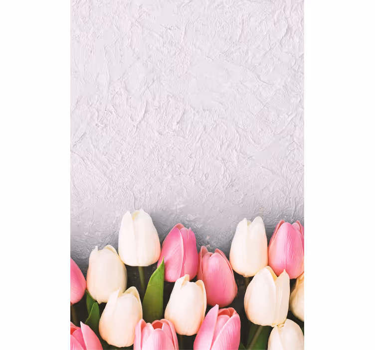 Bílé a růžové tulipány květroleta - TenStickers