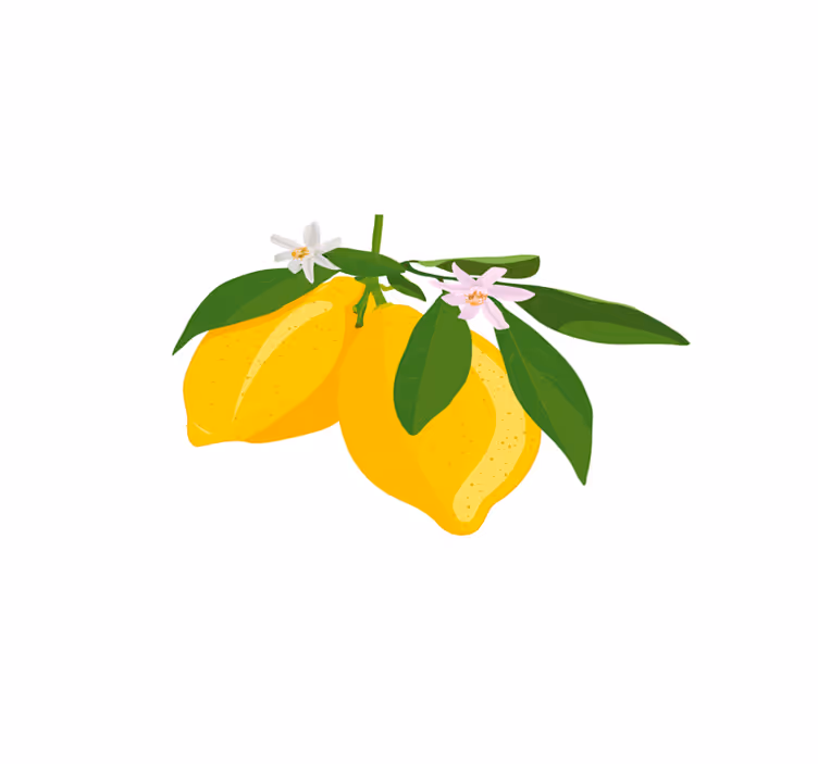 Originální prostírání s ilustrací citronové větve - TenStickers