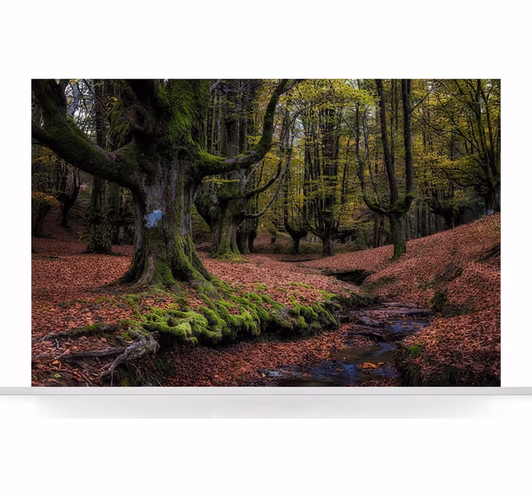 Lesní fototapeta kouzelný podzimní les - TenStickers