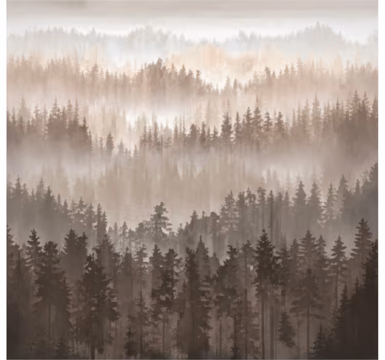 Fototapeta dřevěné lesní vrstvy - TenStickers