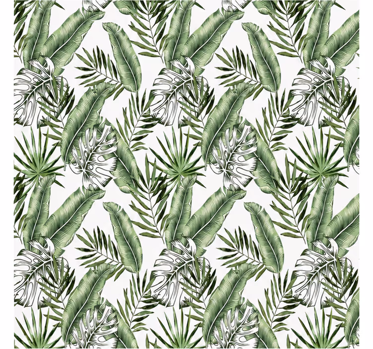Příroda fototapeta listy zelené monstera - TenStickers
