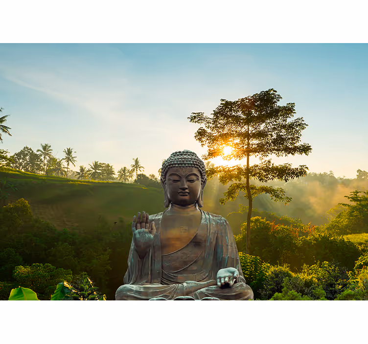 Buddha meditoval v přírodě buddha fototapeta - TenStickers