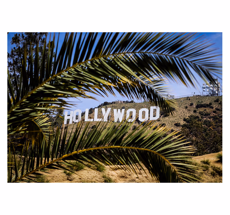 Hollywood znamení a fototapeta strom - TenStickers