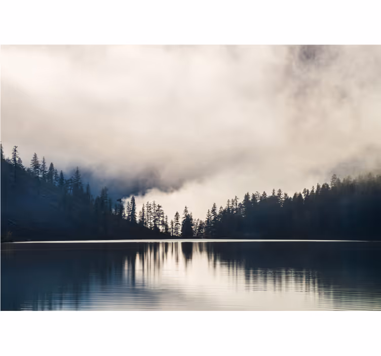 Odraz v mlhavém lese Fototapeta - TenStickers