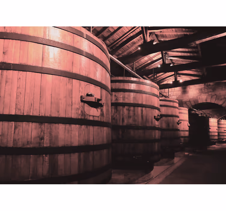 Velké staré sudy na víno vinobraní fototapeta - TenStickers