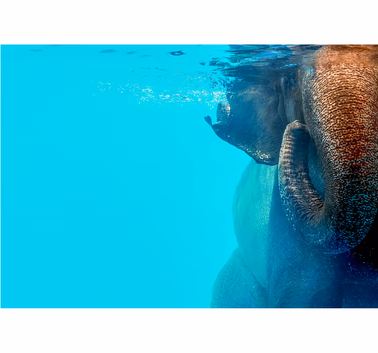 Majestátní podvodní slon Fototapeta zvířata - TenStickers