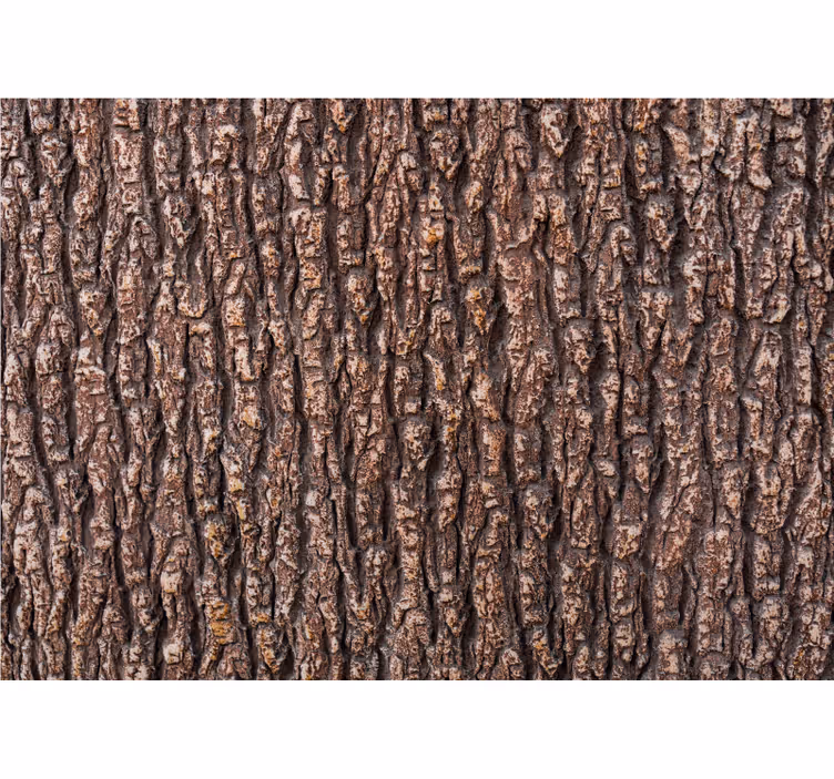 Fototapeta dřevo kůry stromu - TenStickers