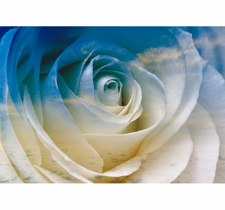Fototapeta květiny elegance růžového květu - TenStickers