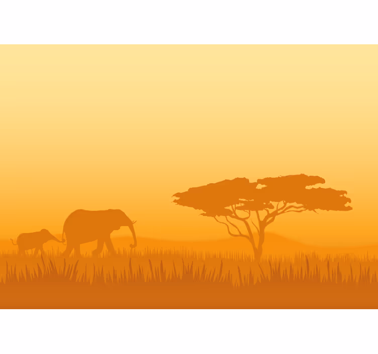 Sloni na safari Fototapeta zvířata - TenStickers