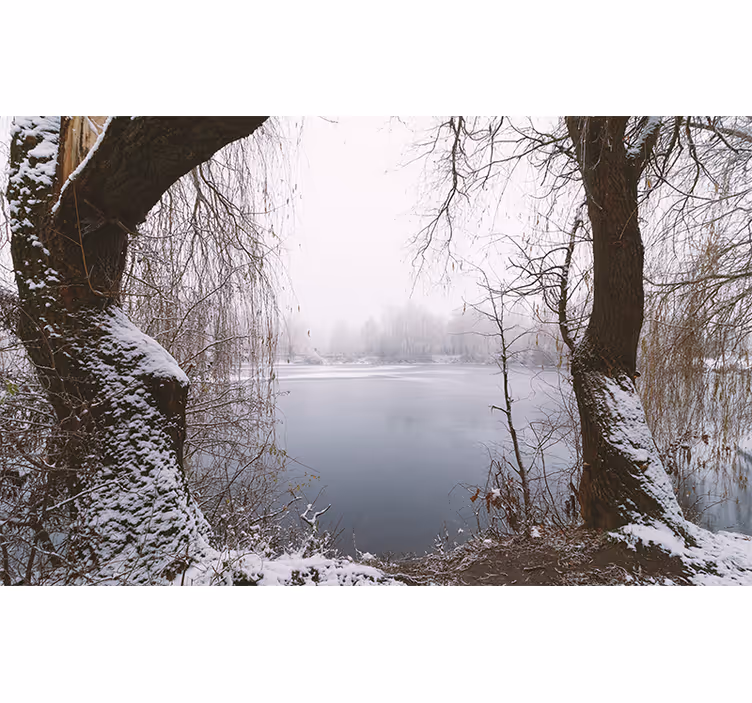 Výhled na zamrzlé jezero Horská fototapeta - TenStickers