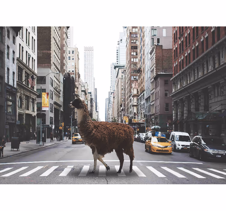 Fototapeta lama v new yorku - TenStickers