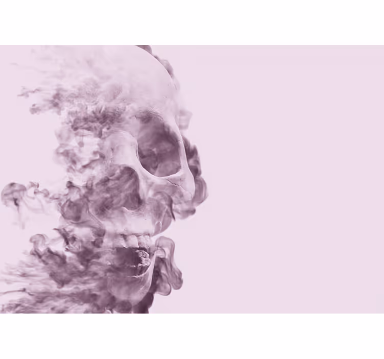 Silueta kouřové lebky Fototapeta zvířata - TenStickers