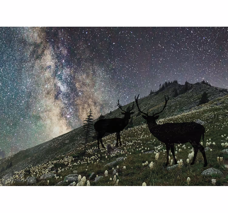 Fototapeta silueta dvou jelenů - TenStickers