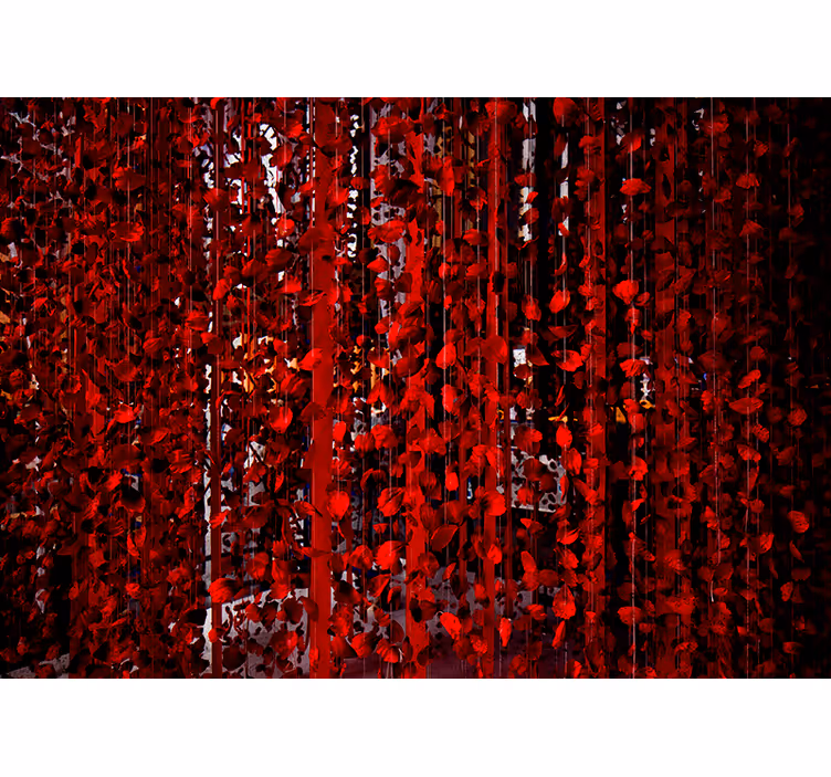 Květiny visí fototapeta - TenStickers