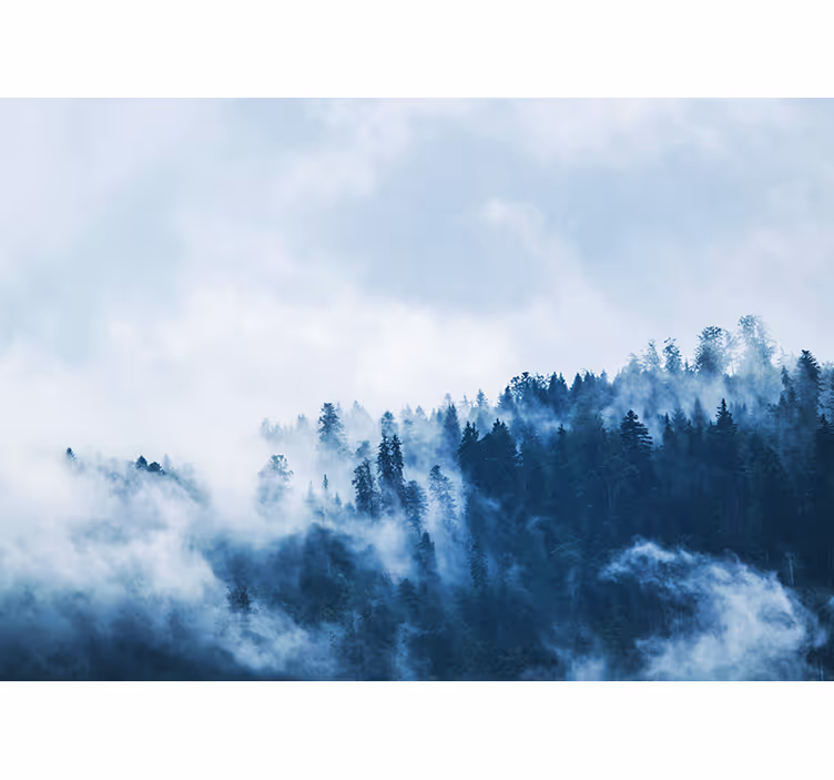 Příroda fototapeta lesní mlžná krajina - TenStickers