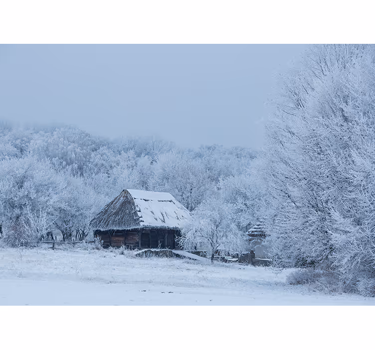 Zasněžená zimní krajina Fototapeta - TenStickers