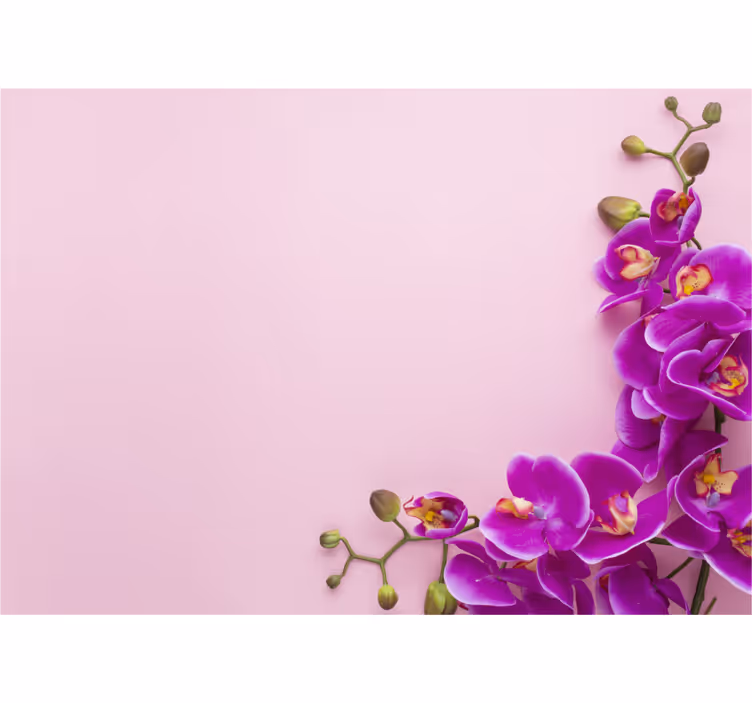 Orchidej fototapeta květinová aranžmá - TenStickers