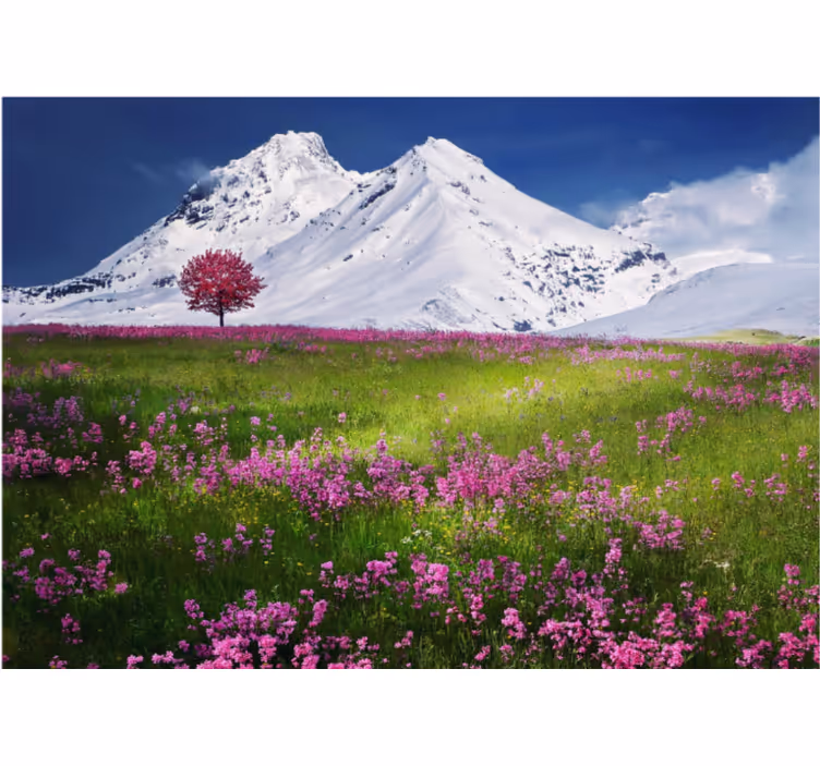 Fototapeta květiny v horách tulipánů - TenStickers