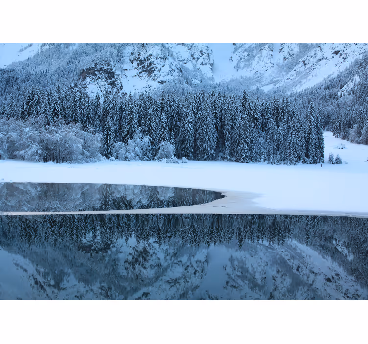 Fototapeta klidná zimní krajina - TenStickers