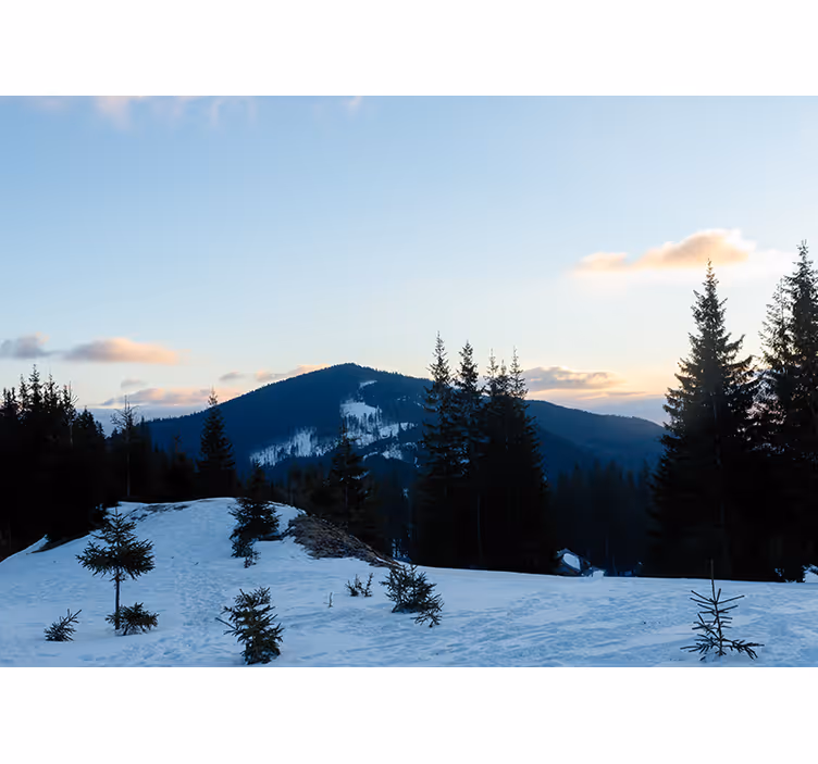 Horská fototapeta mrazivá krajina vrcholu - TenStickers