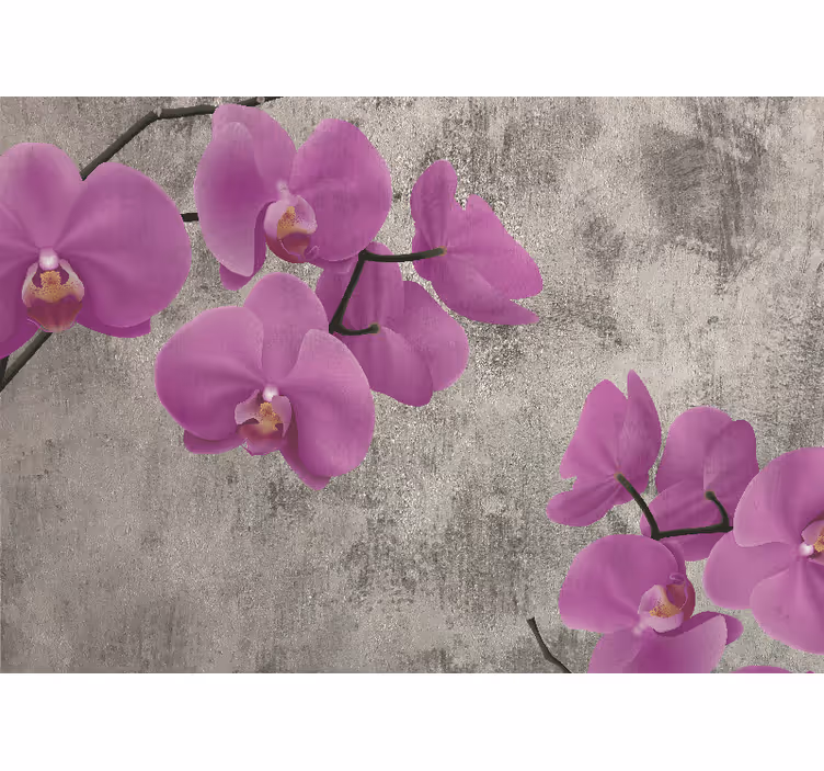 Fototapeta květiny růžové orchideje v květu - TenStickers