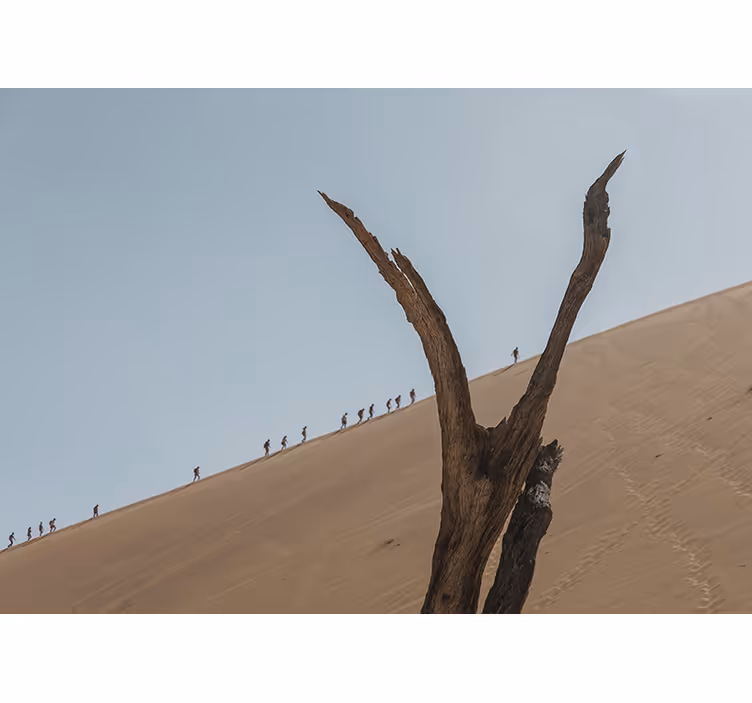 Duna turisté silueta Pouštní fototapeta - TenStickers