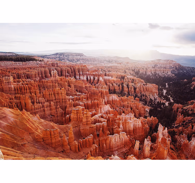 Fototapeta pohled na bryce canyon - TenStickers