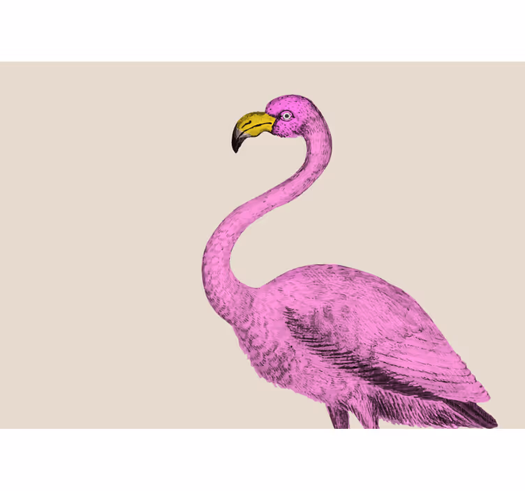 Fototapeta zvířata růžová elegance plameňáků - TenStickers