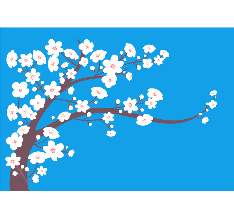 Fototapeta květiny sakura květinová větev - TenStickers