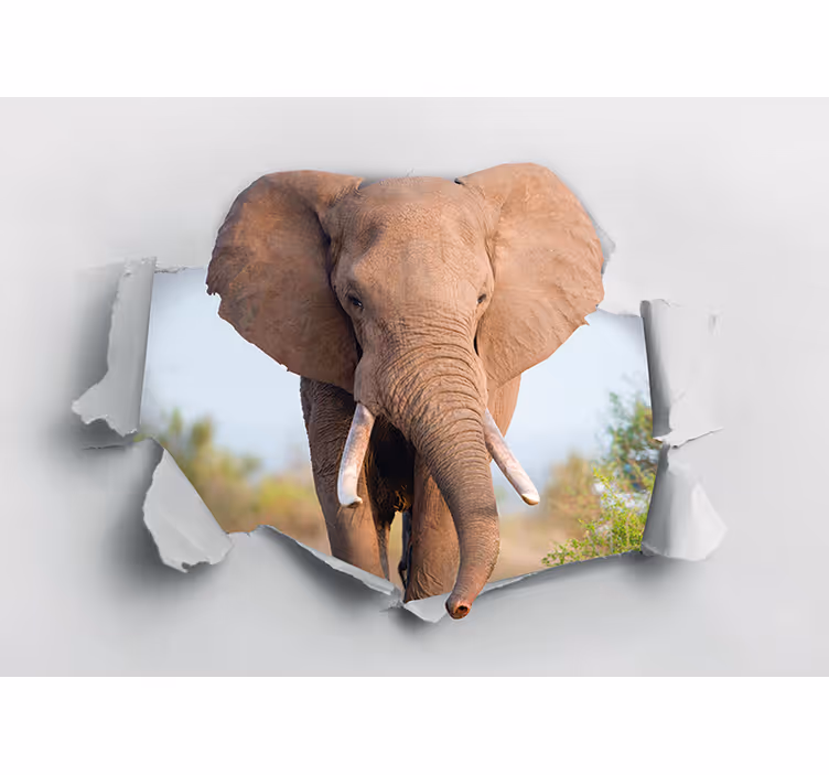 Fototapeta slon rozbíjející 3d - TenStickers