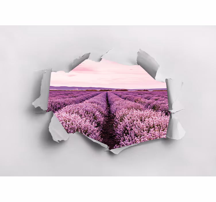 Fototapeta květiny pohled na levandulové pole - TenStickers