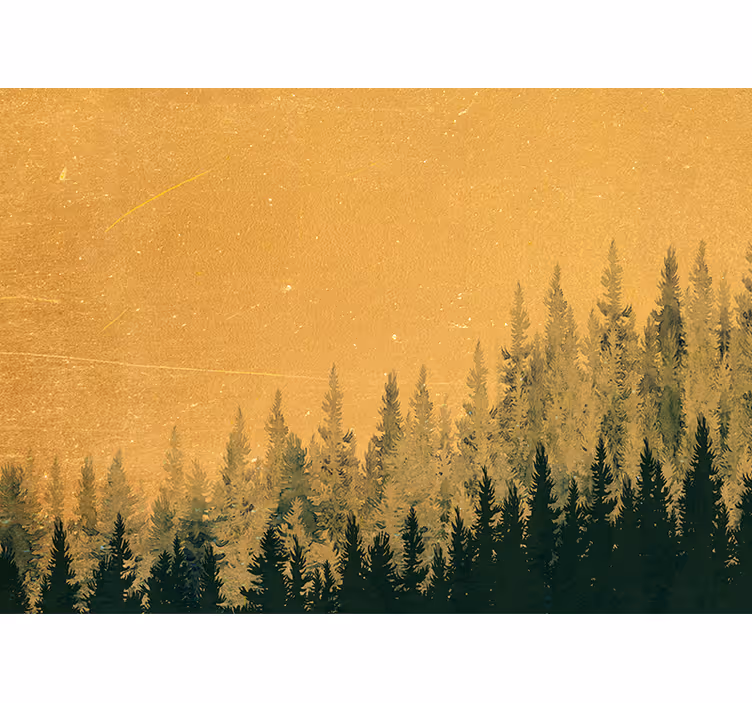 Příroda fototapeta silueta borovice - TenStickers