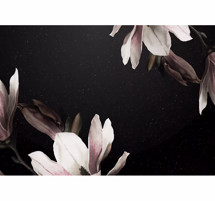 Fototapeta květiny s motivem magnolie - TenStickers