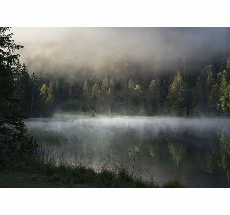 Fototapeta šedá mlha východ slunce přírodě - TenStickers